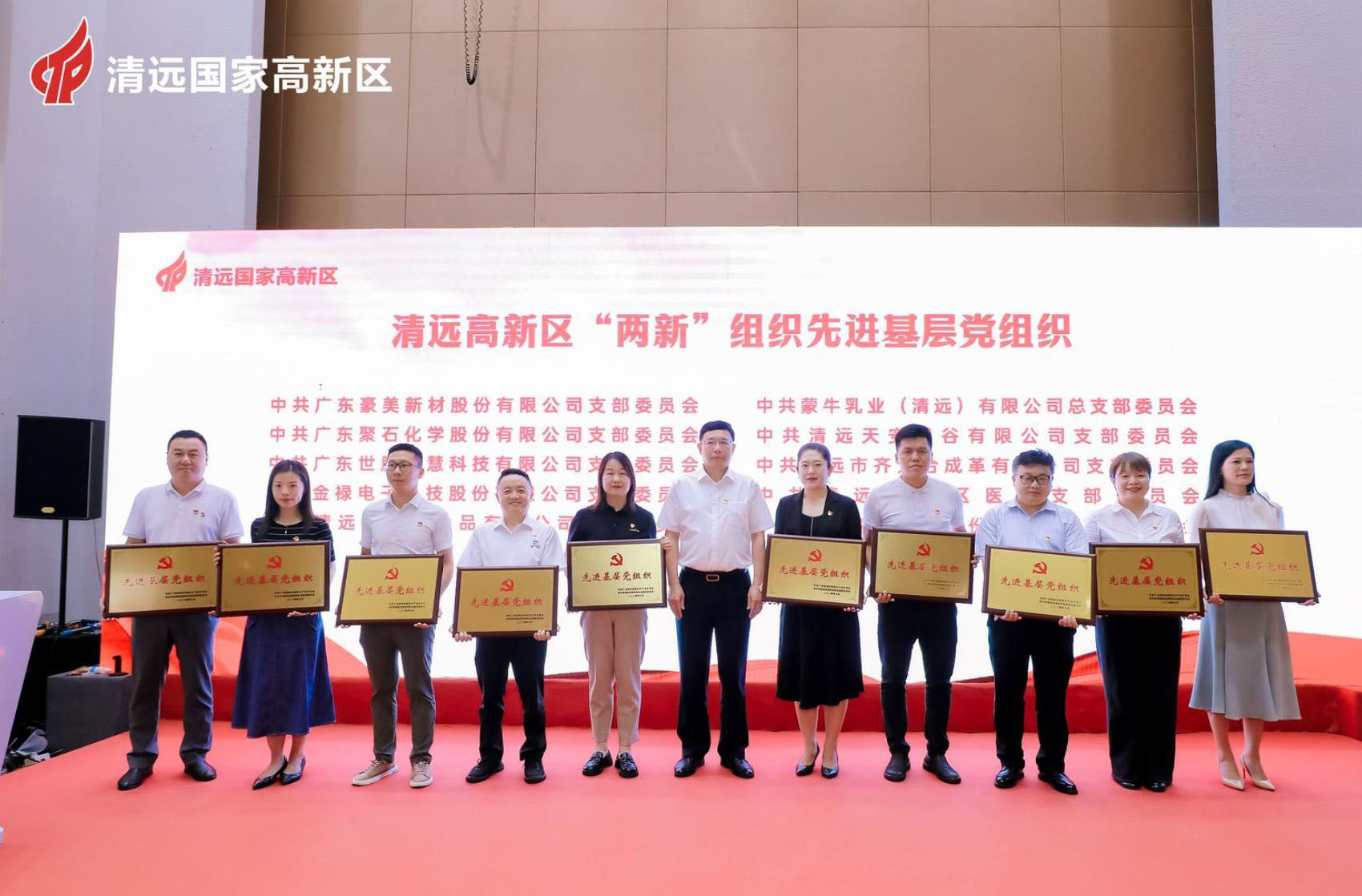 918博天堂(中国)官方网站化学党支部：获殊荣，展风采20240716-2